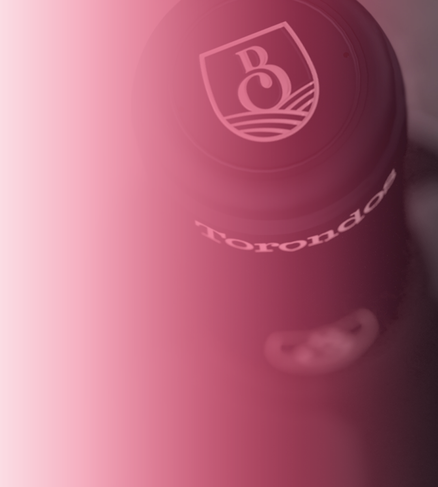 fondo slider movil